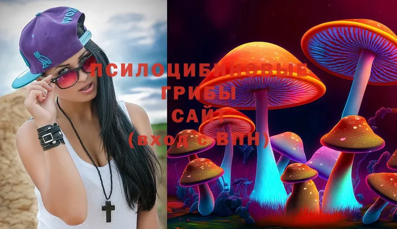 закладки  OMG ссылка  Псилоцибиновые грибы Psilocybe  Рассказово 